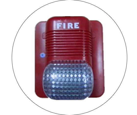 ����������Ӿ�